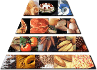 Pyramide nutritionnelle